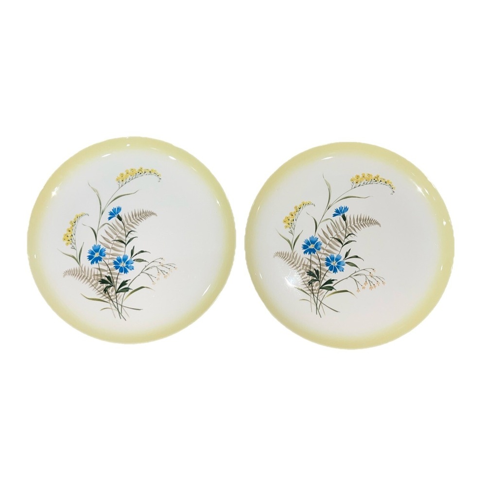 2 Taylor Smith & Taylor TS&T Versatile Dinner Plates Blue Bachelor Buttons Fern